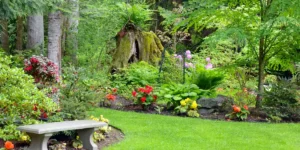 Read more about the article Robert MyGardenAndPatio – Your Ultimate Outdoor Living Companion