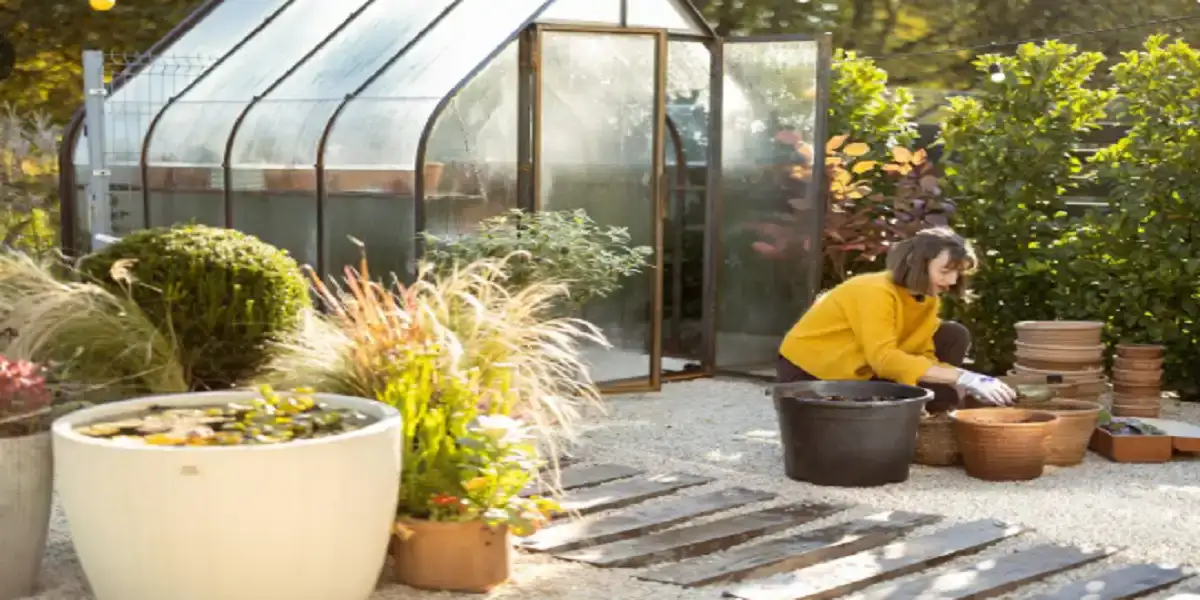 Read more about the article MyGardenAndPatio: Your Outdoor Space, Reimagined