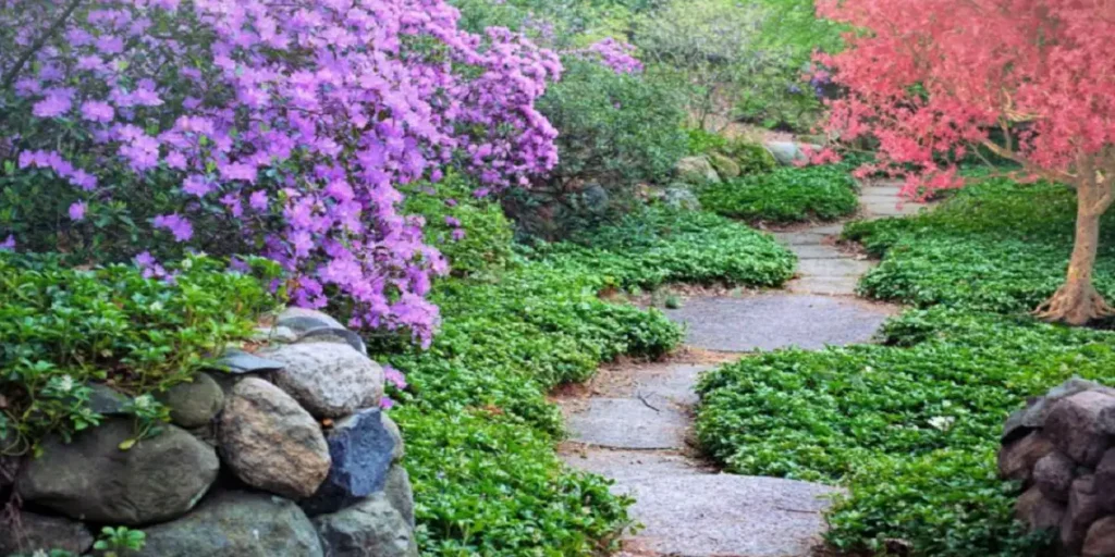 Why MyGardenAndPatio.com is the Perfect Destination for Outdoor Living