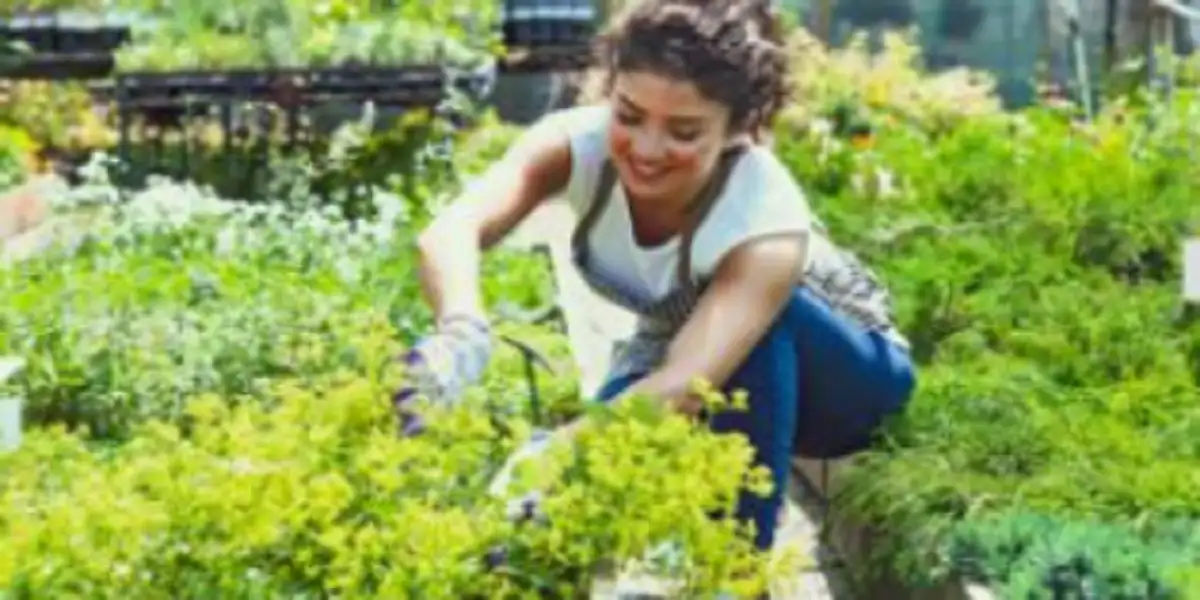 You are currently viewing Robert MyGardenAndPatio: The Man Behind the UK’s Trusted Outdoor Living Brand