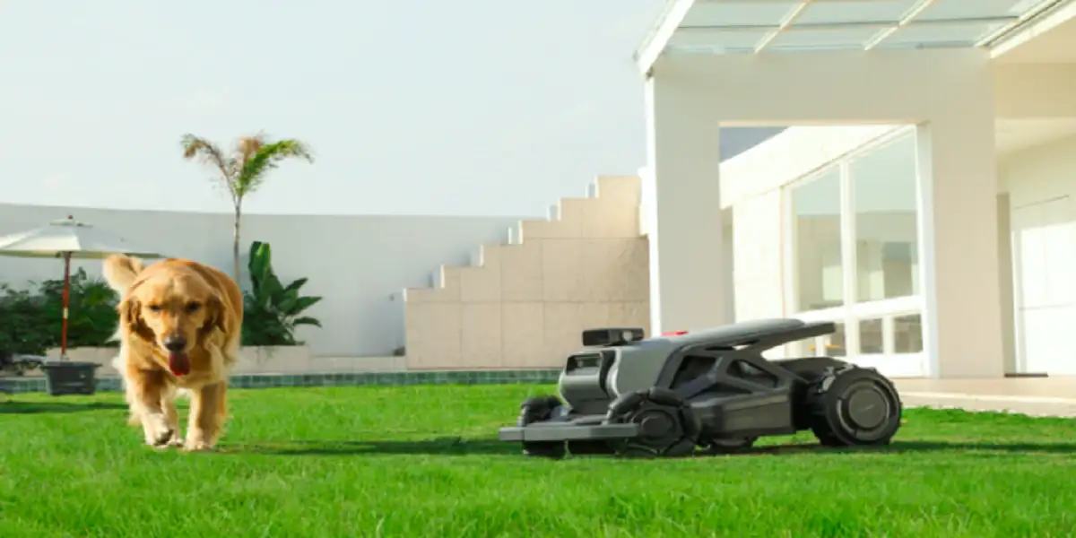 You are currently viewing Give Away Look WhatMomFound  An Introduction to a Unique Platform