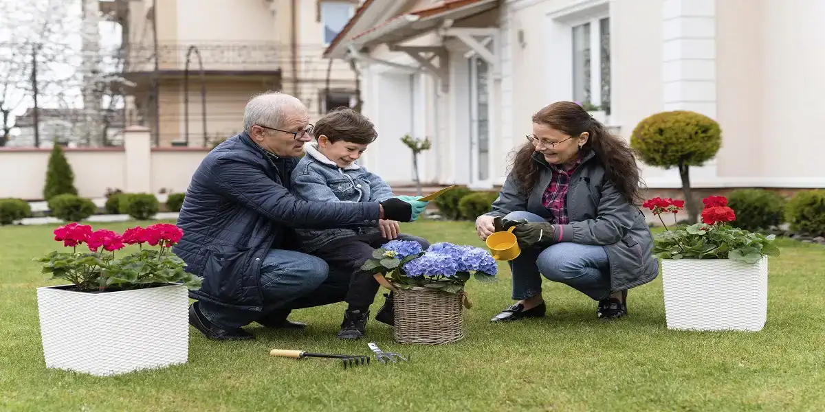 Read more about the article MyGardenAndPatio.com: Your Ultimate Destination for Stylish Outdoor Living