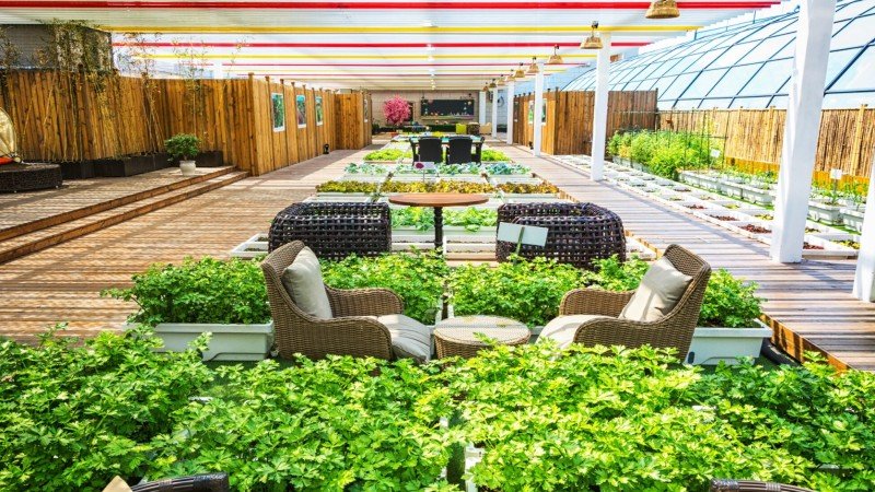 www mygardenandpatio com garden and patio design ideas