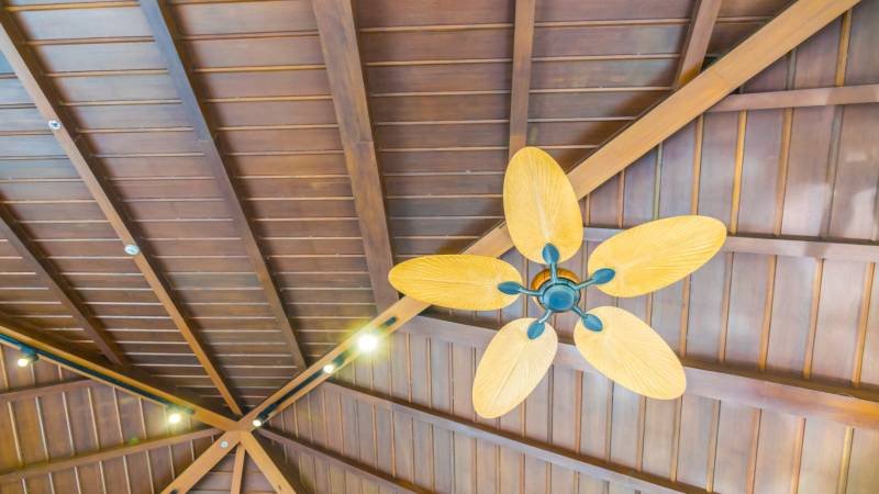 How Barn Ceiling Fans Help Reduce Heat Stress in Livestock